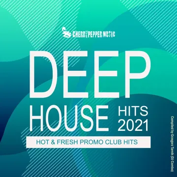 Wonderful Life (feat. Dziemian) (Radio Edit)