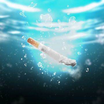 Chữ O-cover