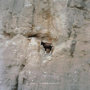 GOAT-cover