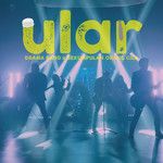 Ular-cover