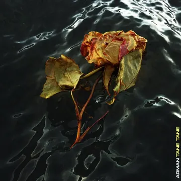 Tane Tane-cover