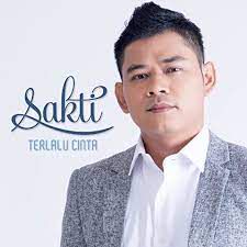 TERLALU Cinta-cover