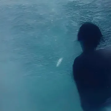 coveImg