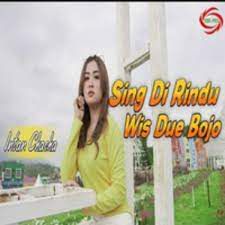 Sing Di Rindu Wis Due Bojo-cover
