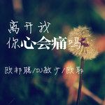 别把疼你的人弄丢了(DJ版)