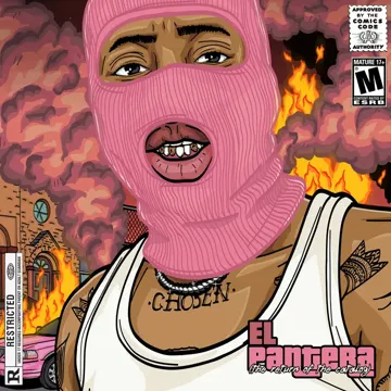 The Vibe-cover