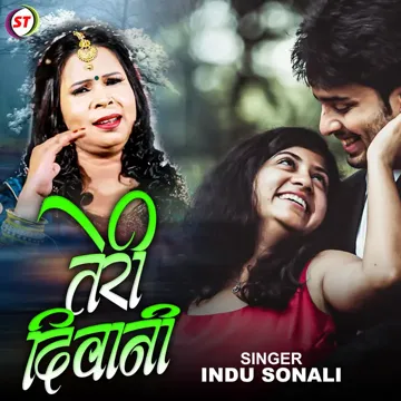 Teri Diwani-cover