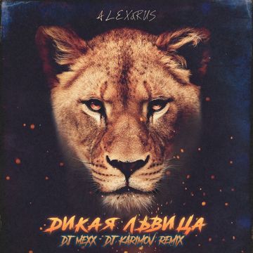 Дикая львица - DJ Mexx & DJ Karimov Remix-cover