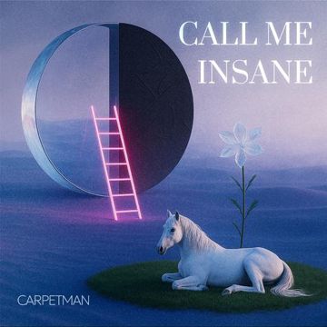Call Me Insane-cover