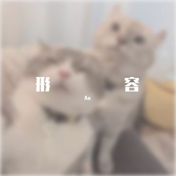 广东爱情故事-cover