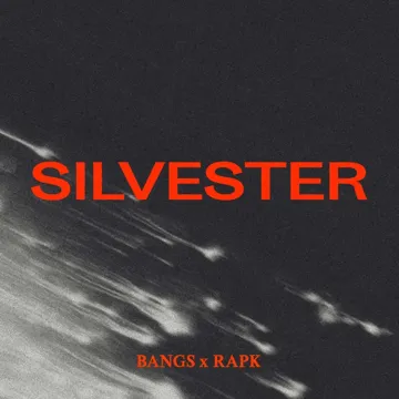 Silvester-cover