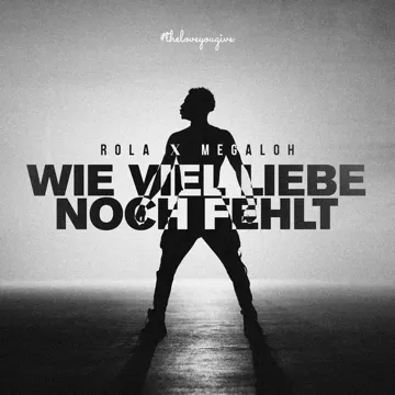 Wie viel Liebe noch fehlt-cover