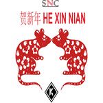 He Xin Nian(Original Mix)-cover