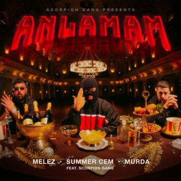 ANLAMAM (feat. Scorpion Gang)-cover