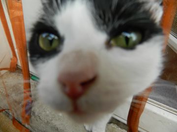 последний день лета