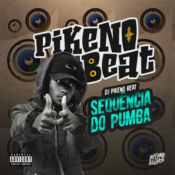 SEQUÊNCIA DO PUMBA-cover