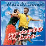Devathaiya Kandein (From "Kadhal Kondaen")-cover