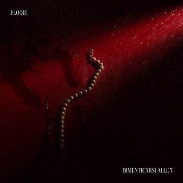 Dimenticarsi alle 7-cover