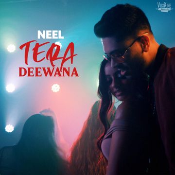 Tera Deewana-cover