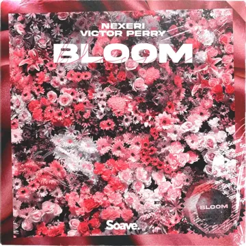 Bloom-cover