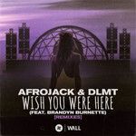 Wish You Were Here(feat. Brandyn Burnette)(Dave Summit & CastNowski Remix)-cover