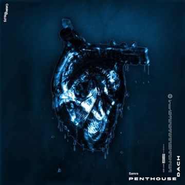 Penthousedach-cover