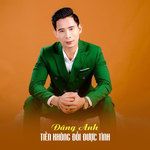 Tiền Không Đổi Được Tình-cover