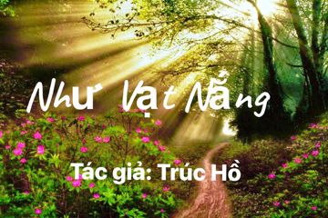 Như Vạt Nắng-Tone Nữ