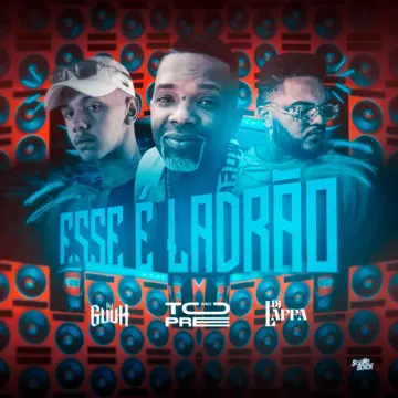 Esse É Ladrão-cover