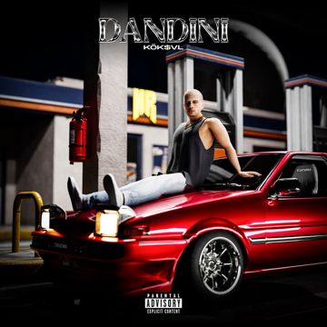 DANDİNİ-cover