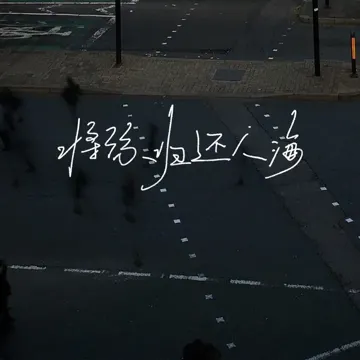 将你归还人海-cover