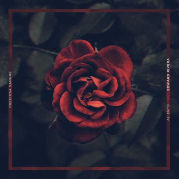 Preciosa Sangre-cover