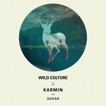 Sugar (Wild Culture vs. Karmin) [Extended Mix] (Extended Mix)-cover