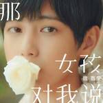那女孩对我说-cover