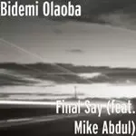 Final Say-cover
