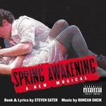 My Junk(Original Broadway Cast Recording/2006)-cover
