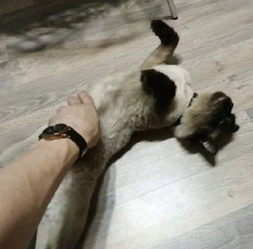 coveImg