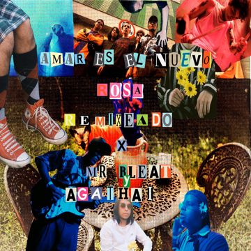 Amar Es el Nuevo Rosa - Mr. Bleat Remix
