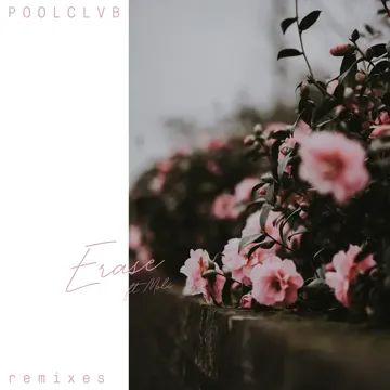 Erase-cover