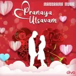 Aarodum Parayuka Vaiyya (From &quot;Kolambi&quot;)-cover