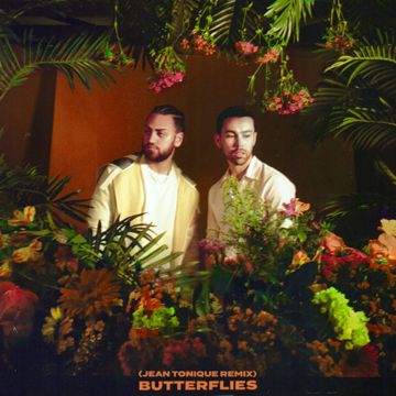 Butterflies - Jean Tonique Remix-cover