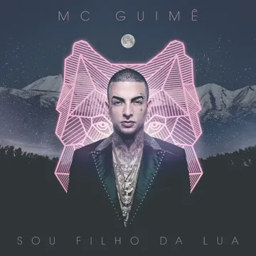 Não roba minha brisa-cover