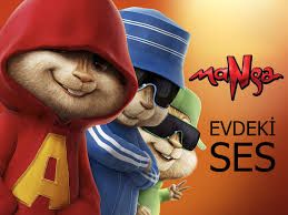 Evdeki Ses-cover