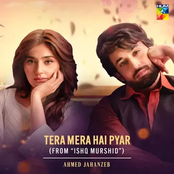 Tera Mera Hai Pyar-cover