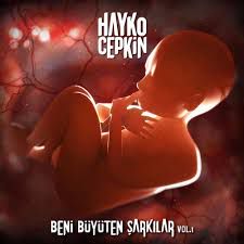 Ben insan değil miyim-cover