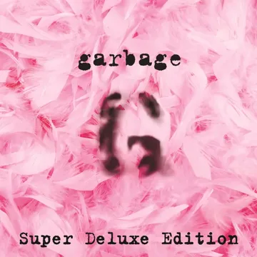 Queer-cover