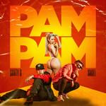 Pam Pam-cover