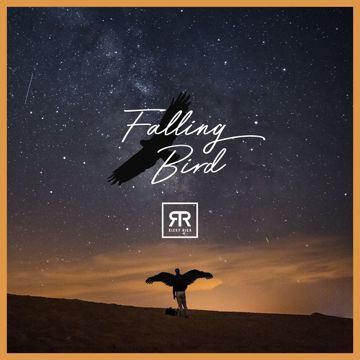 Falling Bird-cover
