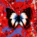 2step (feat. Chefin)-cover