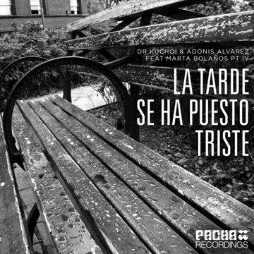 La Tarde Se Ha Puesto Triste(Disc Doctor Mix)-cover